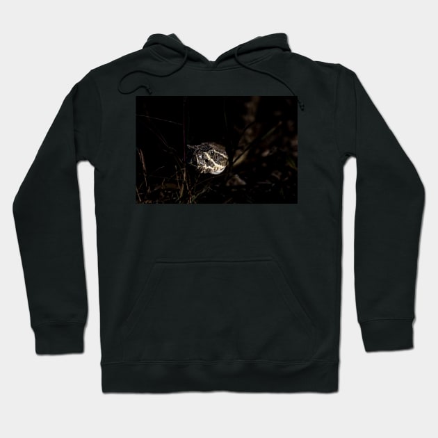 Night Hunter Hoodie by gdb2